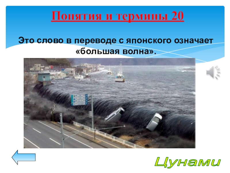 Цунами в переводе с японского. ЦУНАМИ В переводе с японского означает большая волна в Гавани. Что в переводе с японского означает ЦУНАМИ. В переводе с японского это слово обозначает большую волну. Гдз тестирование по предмету ОБЖ 7 класс на тему ЦУНАМИ.