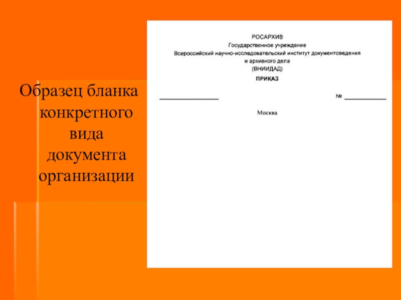 Образец бланка конкретного вида документа организации