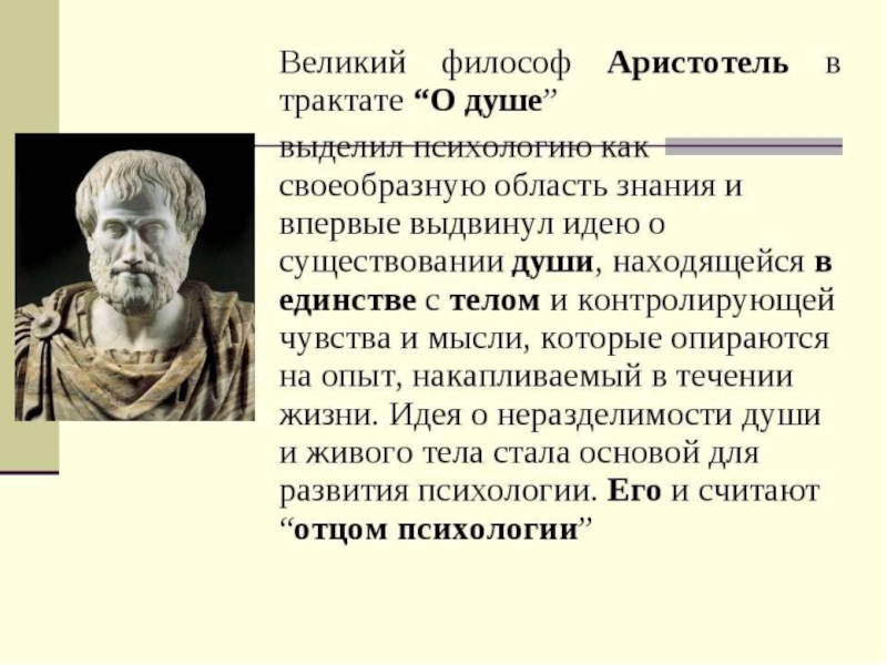 Реферат: Вклад Аристотеля в развитие психологии