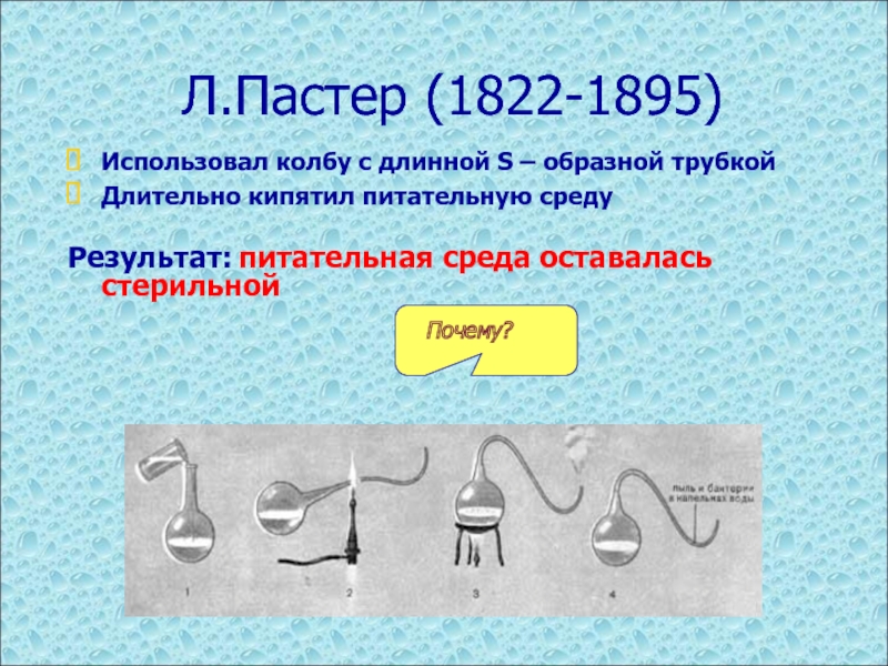 Возникновение жизни на земле 9 класс тест