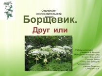 Презентация. Социально-исследовательский проект Борщевик. Друг или враг ?