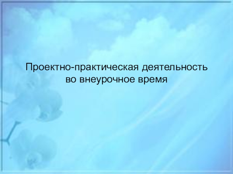 Проектно-практическая деятельность во внеурочное время