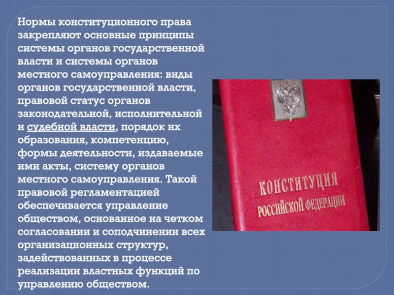 Административные нормы в конституции рф. Конституционное право нормы.