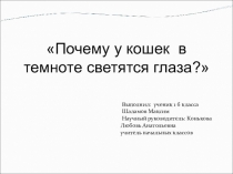 Презентация Почему у кошек светятся глаза?