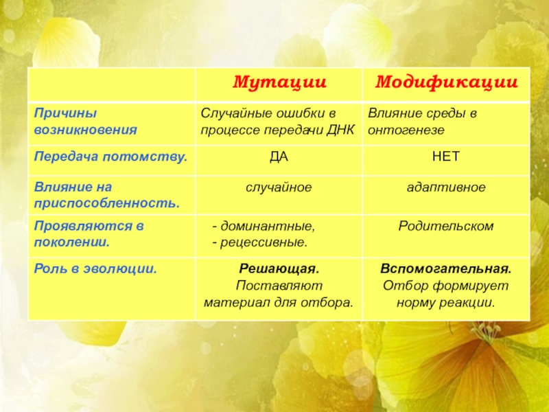 Мутации отличаются. Причины модификации и мутации. Причины возникновения модификации. Причины возникновения модификации мутаций. Примеры модификаций и мутаций.