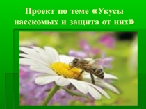 Проект по ОБЖ Укусы насекомых (6 класс)