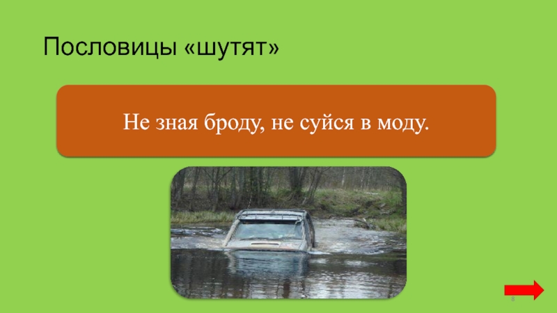 Не зная броду не в воду. Пословица не зная броду не суйся в воду. Пословицы не зная бороду. Пословица не зная броду. Не зная брода не суйся в воду поговорка.