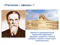 Презентация по биологии на тему Лишайники