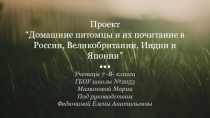 Презентация по страноведению на тему Домашние животные и их почитание в Великобритании, Индии, России и Японии