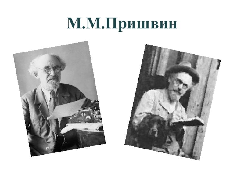 Пришвин том 1. Пришвин писатель. Пришвин м.м.. Пришвин портрет писателя.