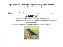 Презентация по окружающему миру на тему Перелётные птицы