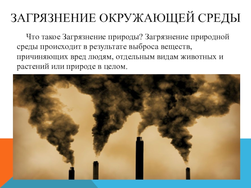 Проект на тему загрязнение окружающей среды 10 класс