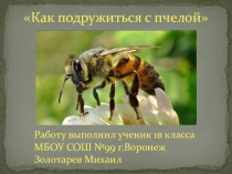 Презентация по окружающему миру на тему  Как подружиться с пчелой