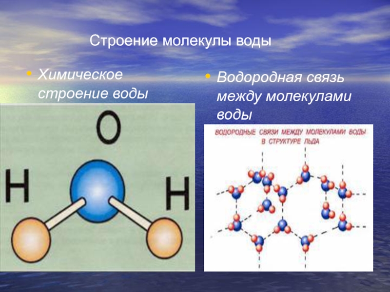 Строение молекулы водыХимическое строение воды Водородная связь между молекулами воды