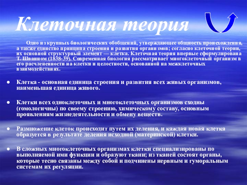 Теория 1.3. Клеточная теория. Укажите три функции которые выполняет современная клеточная теория. Клеточная теория одно из самых крупных биологических обобщений. Творческий проект мир биологии обобщения знаний.