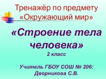 Строение тела человека