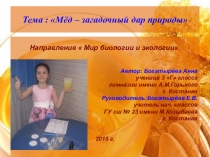 Презентация к выступлению НОУ Мёд- загадочный дар природы