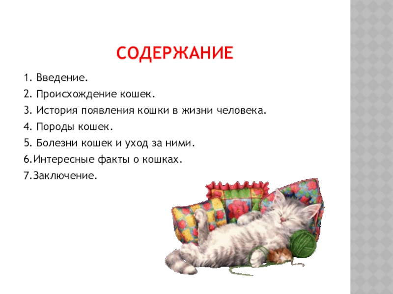 Содержание кошки