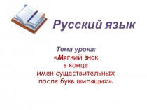 Презентация по русскому языку Правописание мягкого знака после шипящих на конце имён существительных.