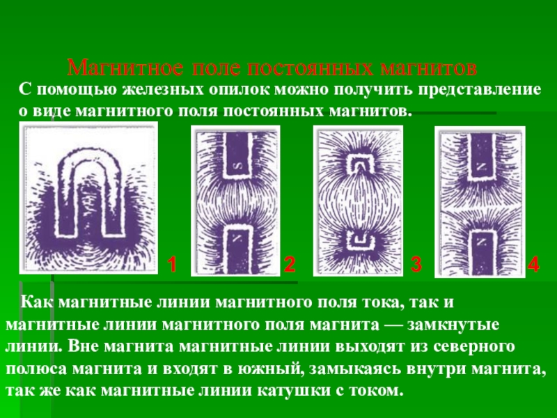 Рассмотрите изображение магнитных полей между полюсами магнитов полученные с помощью железных опилок