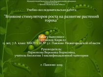 Презентация учебно-исследовательской работы по биологии на тему: Влияние стимуляторов роста на развитие растений гороха.