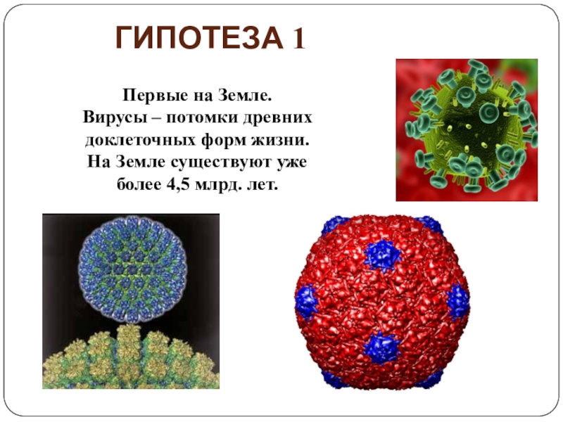 Жизнь без вирусов. Вирусы неклеточные формы жизни презентация. Биология неклеточные формы жизни вирусы. Вирусы неклеточные формы жизни 10 класс. Вирусы как неклеточная форма жизни.