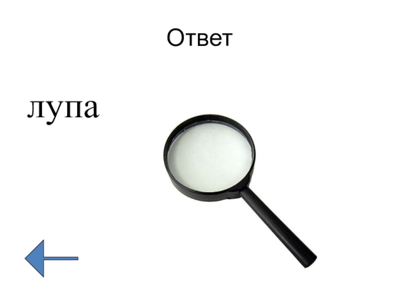 Рассмотрите изображение лупы что обозначено на рисунке буквой а