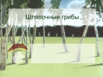 Презентация по биологии на темуШляпочные грибы(6 класс)