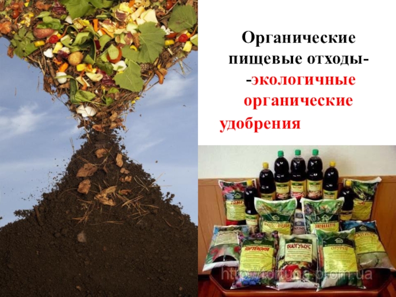 Органические отходы картинки для детей