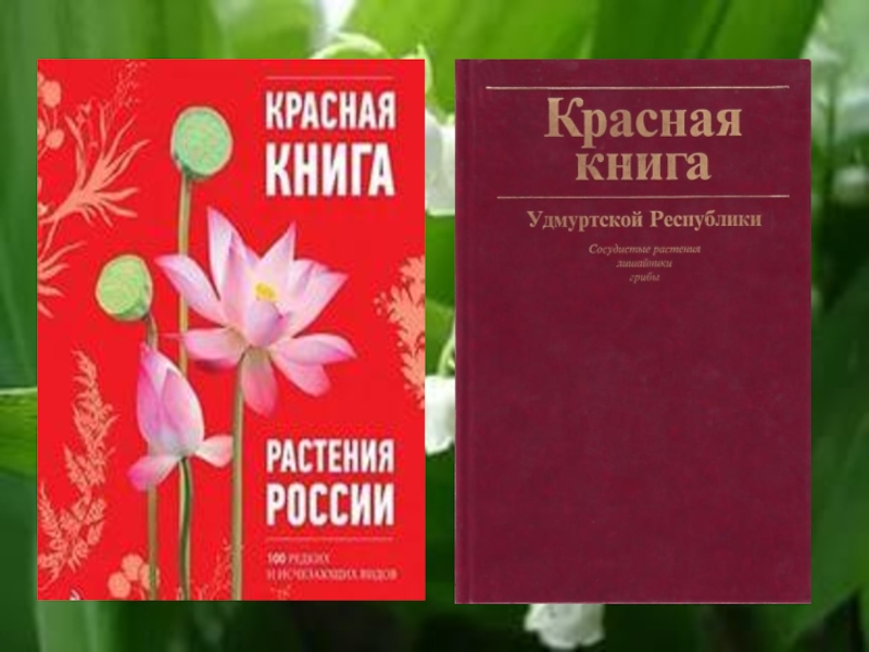 Красная книга удмуртии животные и растения картинки и названия