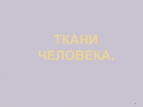 Презентация по биологии на тему: Ткани человека (8 класс)