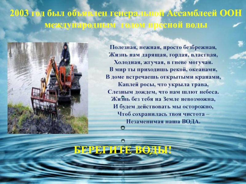 Там вода. Где вода там и жизнь. «Полезная нежная, просто безбрежная» о воде. Где вода там и жизнь картинки. Там где вода там жизнь картинки.