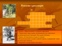 Строение и значение побегов