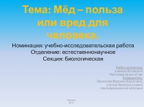Презентация исследовательской работы на тему Мёд – польза или вред для человека.