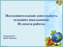Исследовательская деятельность младших школьников.