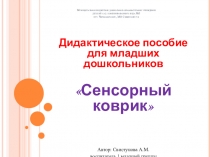 Дидактическое пособие для младших дошкольников Сенсорный коврик