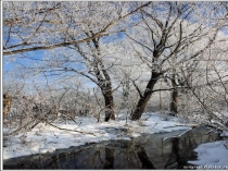 Презентация к уроку окружающего мира Охрана природы зимой, 2 класс