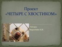 Презентация проекта по окружающему миру Четыре с хвостиком