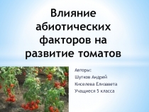 Презентация к научно - исследовательской работе Влияние абиотических факторов на развитие томатов