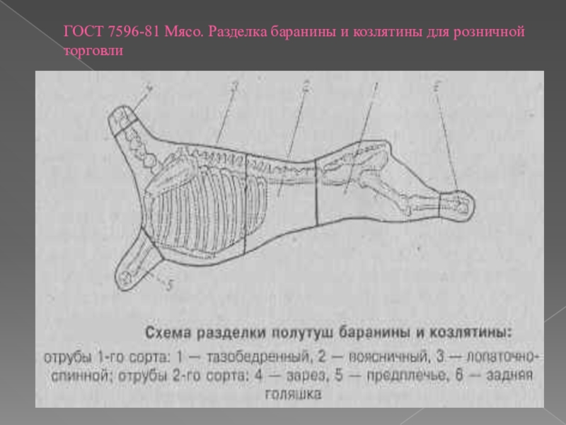 Схема разделки туши баранины