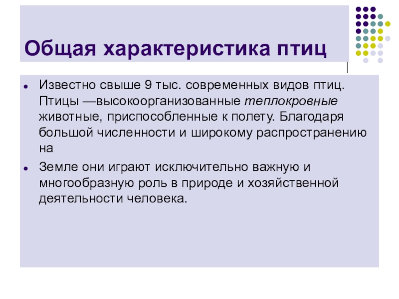 Презентация класс птицы общая характеристика 7 класс презентация