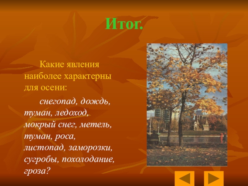 Осенней погодой как пишется. Явления характерные для осени. Природные явления характерные для осени. Осень явления природы 2 класс. Явления природы осенью 2 класс.