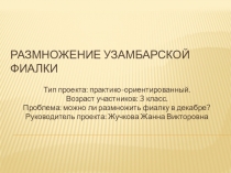 Презентация к проекту по окружающему миру на тему Размножение узамбарской фиалки