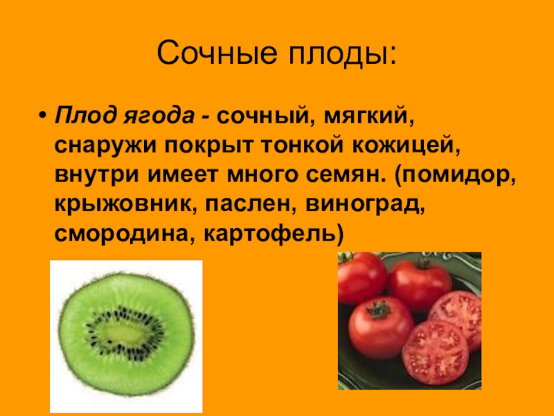 Плоды биология 6 класс. Плод ягода. Сочные плоды. Сочные плоды ягода. Плод ягода биология.