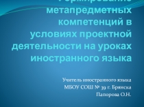 Формирование метапредметных компетенций в условиях проектной деятельности на уроках иностранного языка