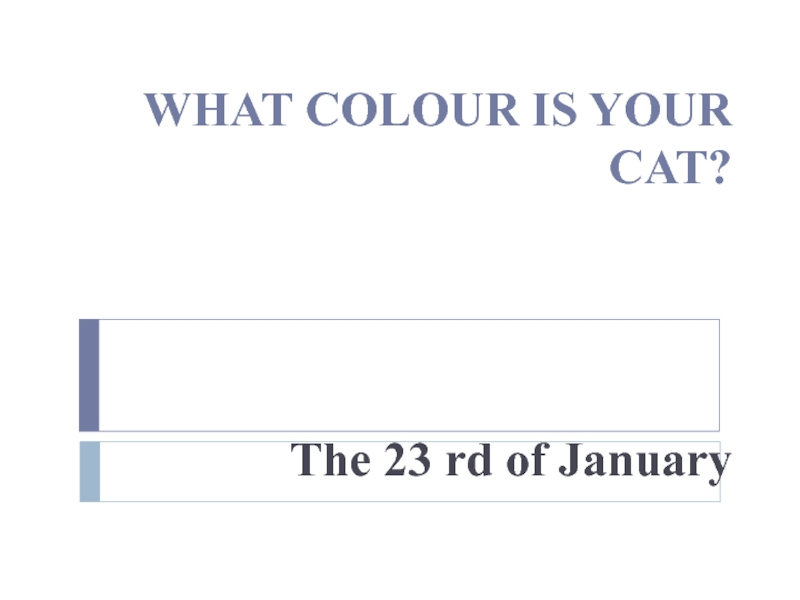 Презентация по английскому языку на тему What colour is your cat? (5 класс)