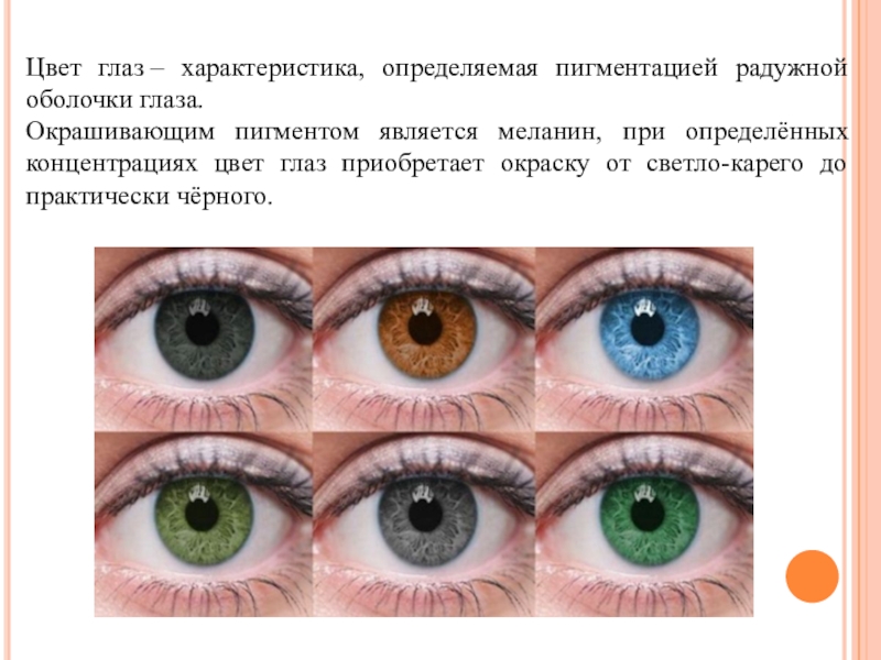 Пигмент радужной оболочки. Определить цвет глаз. Цвет глаз зависит от пигмента. Цвет глаз определяется пигментацией.