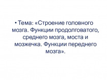 Презентация по биологии на тему Строение головного мозга.
