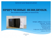 Презентация к научной работеПрирученные невидимки