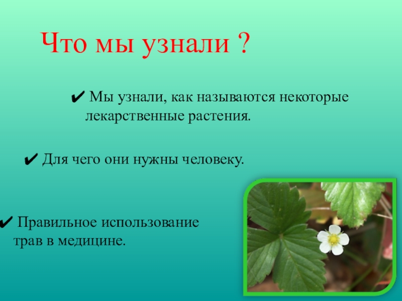 Дополнительная информация о растениях. Лекарственные растения презентация. Проект мир лекарственных растений. Растения для презентации. Проект лекарственные травы.